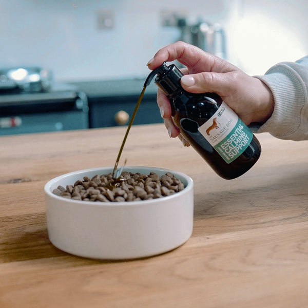 Essential Calming Support Hemp Oil Supplements Sausage Dog