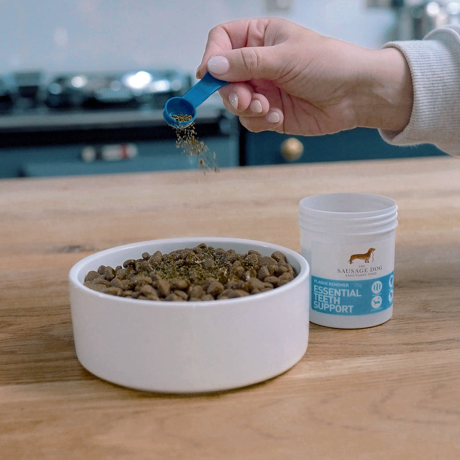 Essential Plaque Remover powder being poured into a dog bowl