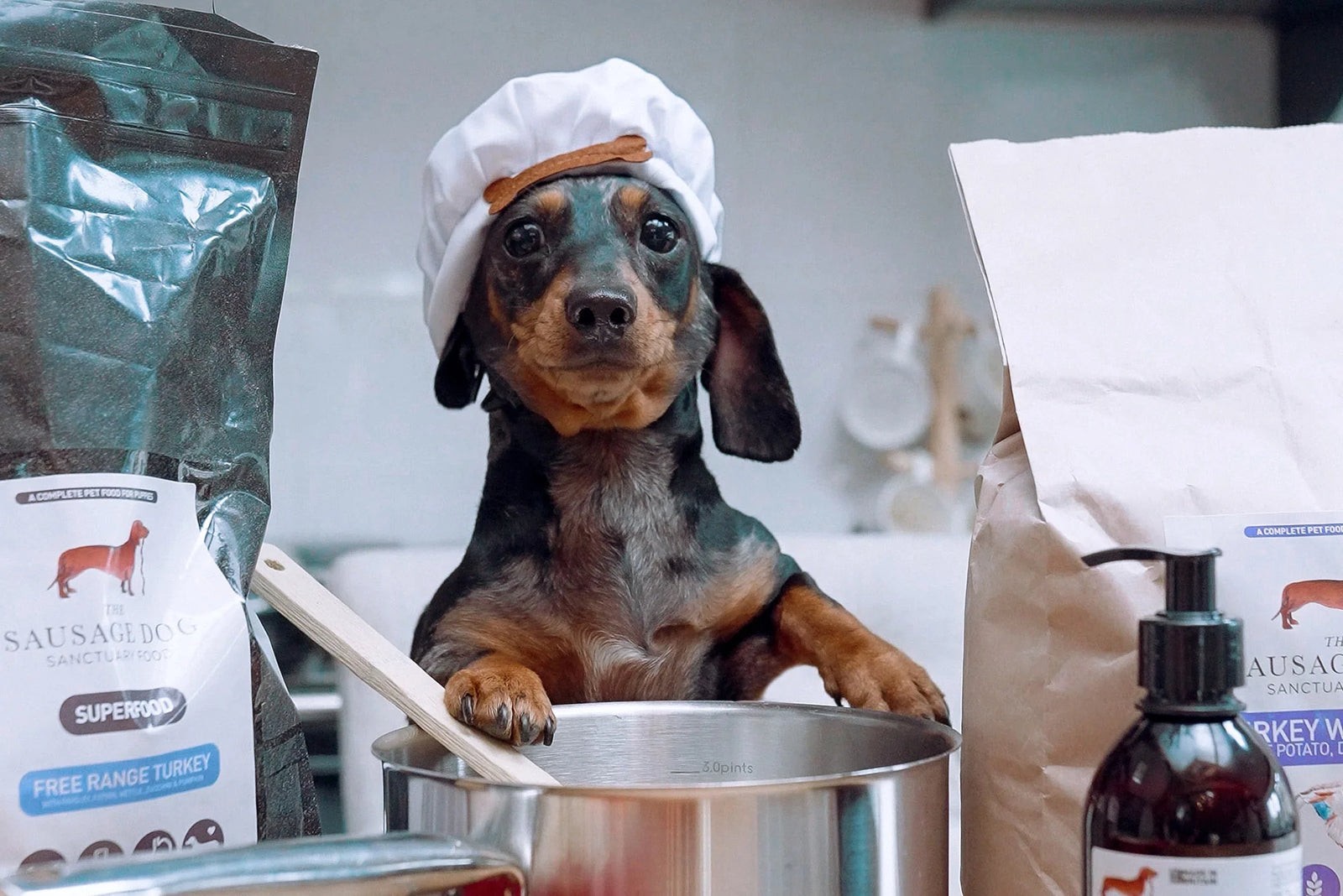 Collections Sausage Dog Sanctuary Food