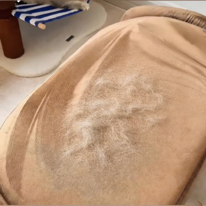 Surface covered in pet hair before