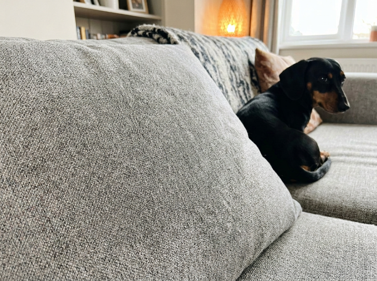 Clean, fur-free sofa after using the Sausage Glove