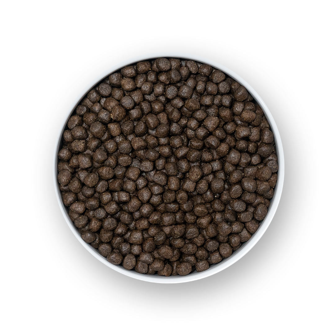 Your sausage is not fussy. The kibble is too big.